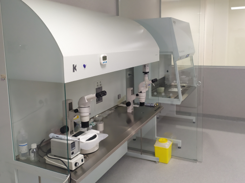 Laboratorio Ginemed Jerez de la Frontera (C�diz)